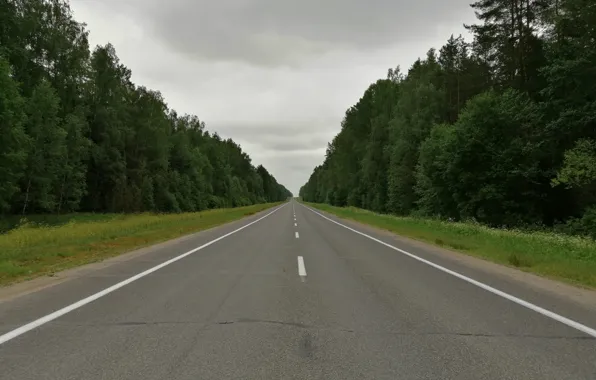 Road, summer, asphalt, landscape, Belarus