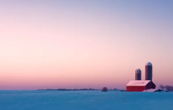 The sky, Trees, Snow, Horizon, House