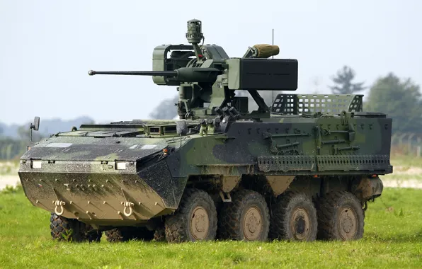 Machine, combat, armored, multipurpose, wheel, Pandur II