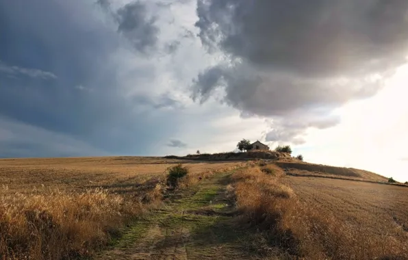 Picture road, field, the sky, home