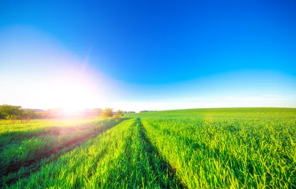 The sky, Nature, Field
