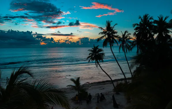Landscape, nature, the Maldives