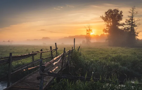Summer, the sky, the sun, sunset, bridge, nature, river, the evening