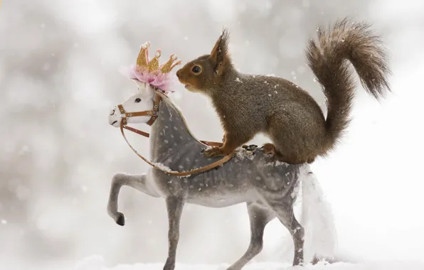 Picture winter, snow, animal, toy, protein, animal, rodent, horse