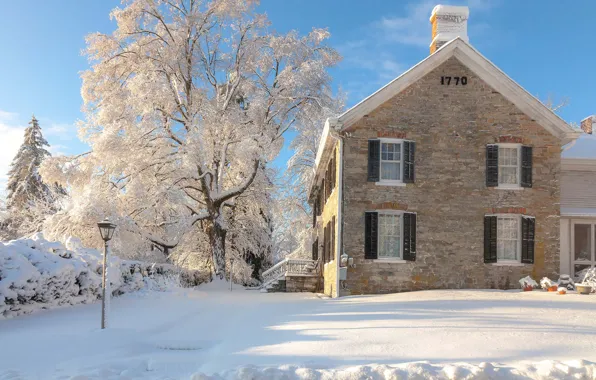 Winter, snow, trees, landscape, nature, house, Antonina Janowska