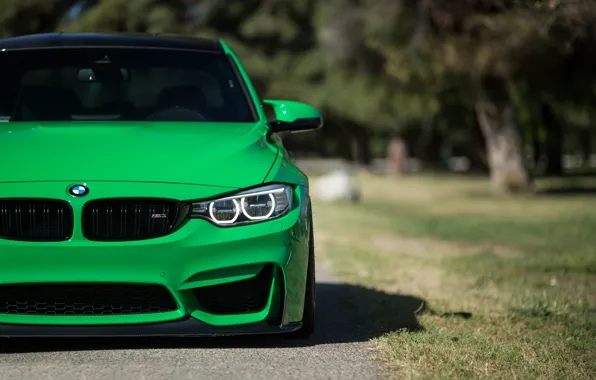 Auto, style, photo, green, Wallpaper, bmw, blur, green