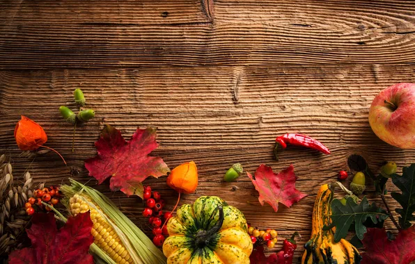 Picture autumn, leaves, berries, tree, corn, harvest, pumpkin