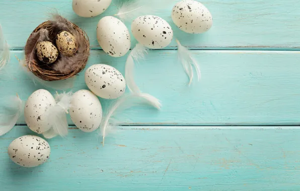 Picture eggs, feathers, Easter, socket, tape, happy, wood, spring