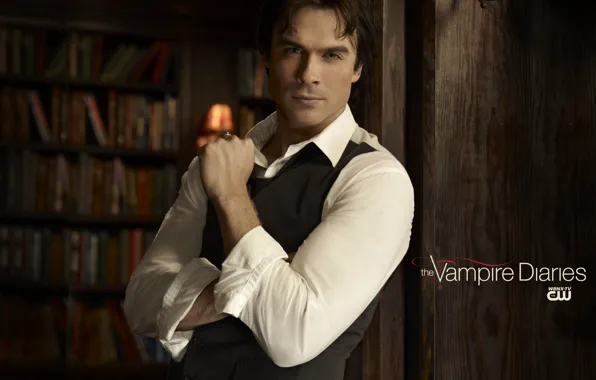 Picture the series, 2010, The vampire diaries, Ian Somerhalder, Damon Salvatore