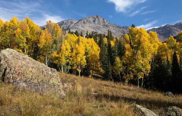 Autumn, forest, grass, clouds, trees, landscape, mountains, blue