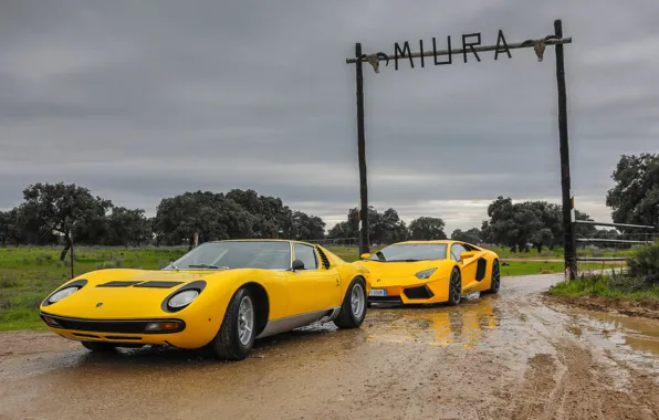 Color, Auto, Lamborghini, Machine, Classic, Dirt, Yellow, 1971