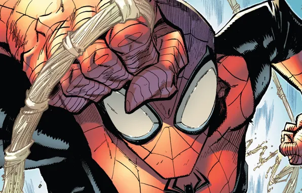 Web, Costume, Hero, Mask, Comic, Superhero, Hero, Web