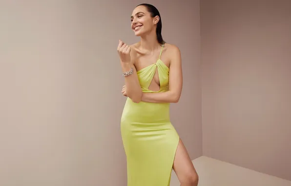 Look, pose, smile, model, makeup, figure, actress, hair