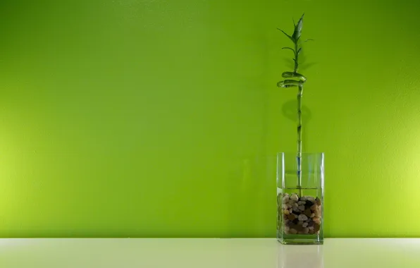 Water, light, glass, green, pebbles, bamboo