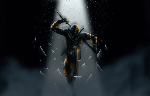 Picture madness, deathstroke