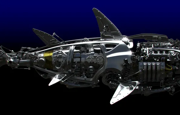 Shark, Metal, Details