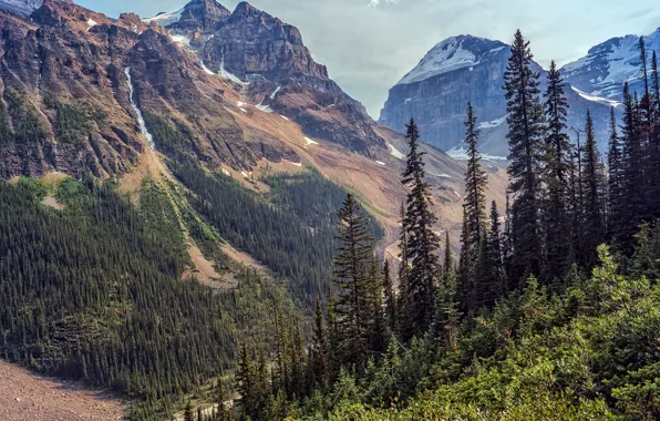Forest, the sky, mountains, nature, ate