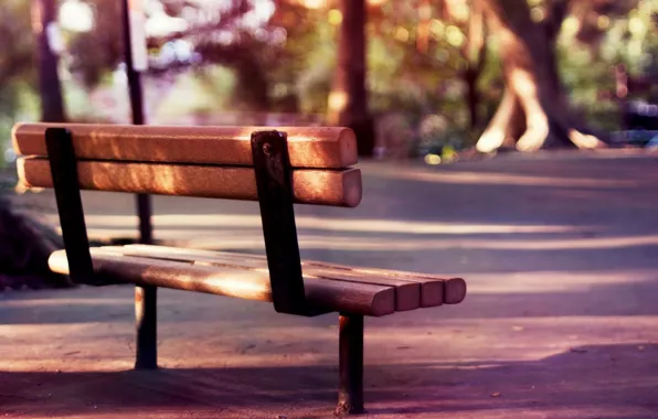 Summer, trees, bench, nature, background, stay, widescreen, romance