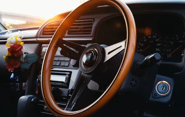The wheel, salon, torpedo, dashboard, freshener