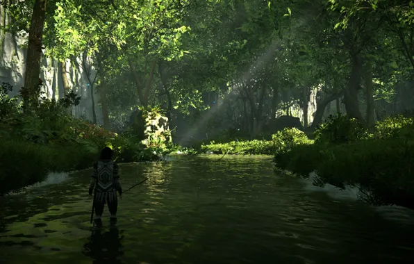 Picture forest, trees, river, Shadow of the Colossus, In the shadow of the colossus