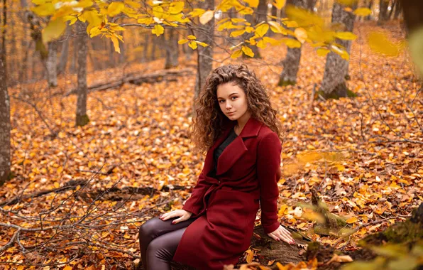 Autumn, look, leaves, trees, pose, Park, model, portrait