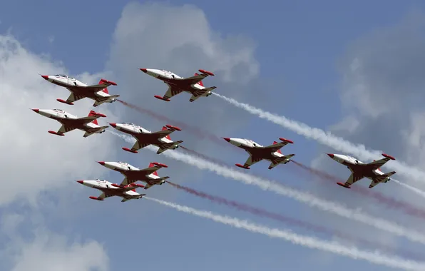 Aviation, show, flight, squadron, F-5, NF-5АБ, Canadair, Turkish Stars