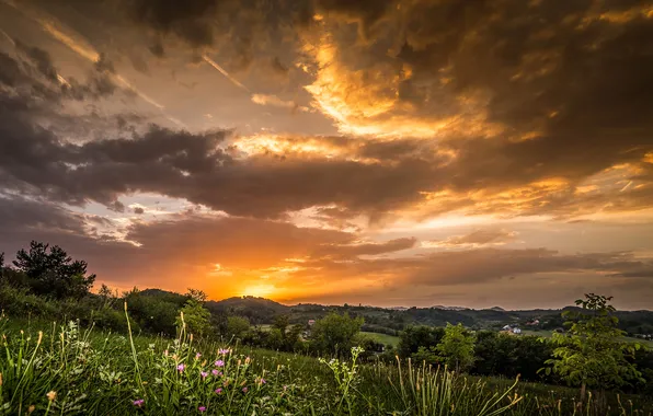 Picture the sky, clouds, sunset, field, meadows, Croatia