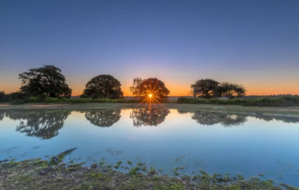 The sun, rays, trees, sunset, reflection, shore, pond