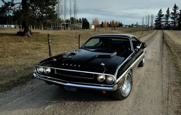 Background, Dodge, Dodge, Challenger, 1970, the front, Muscle car, Muscle car