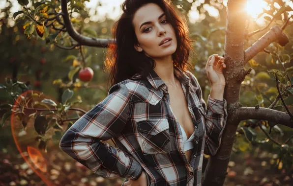 Picture chest, summer, look, leaves, girl, rays, light, branches