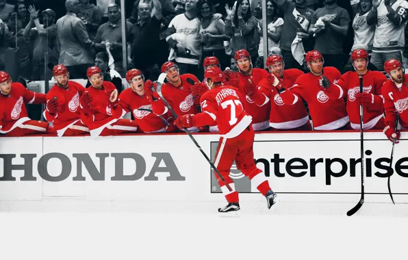 Red, The game, Sport, Ice, Ice, Detroit, NHL, NHL