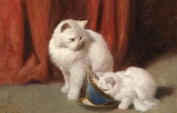 Picture cat, picture, art, white, fluffy, Tea Time, Arthur Heyer