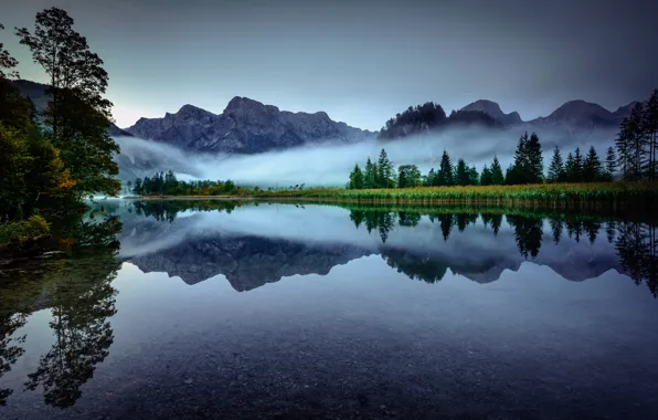 Picture trees, mountains, fog, lake, reflection, morning, Austria, Alps