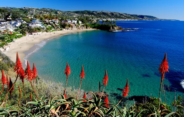 Picture sea, the sky, flowers, home, Bay, town, aloe, agave