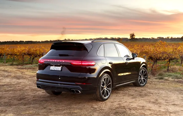Picture sunset, Porsche, rear view, Turbo, 2018, Cayenne, crossover