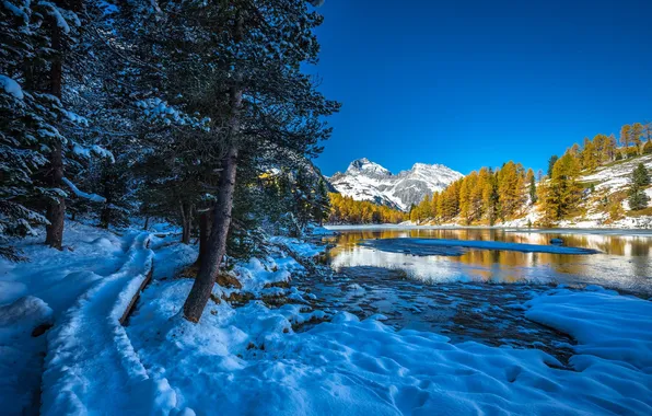 Picture ice, winter, forest, the sky, snow, trees, landscape, mountains