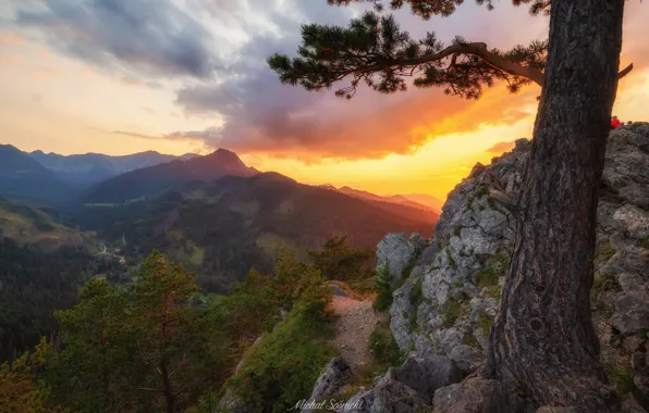 Picture landscape, sunset, mountains, nature, stones, tree, rocks, Poland