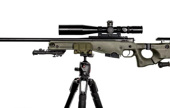 Picture weapons, rifle, sniper, International AW, Accuracy