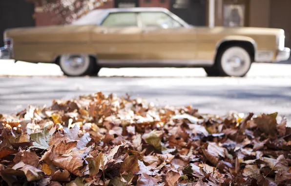 Machine, autumn, leaves, macro, retro, fallen, blurry background