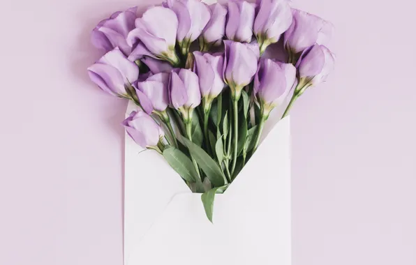 Flowers, background, gift, bouquet, Beautiful, pink, flowers, background
