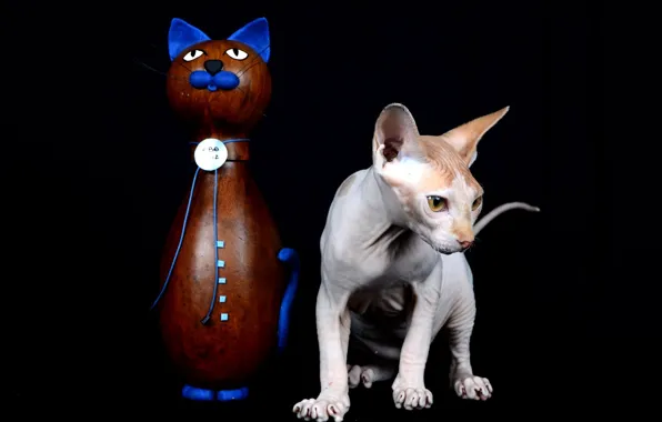 Picture cat, background, figurine