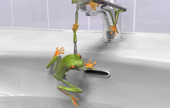 Crane, sink, Frogs