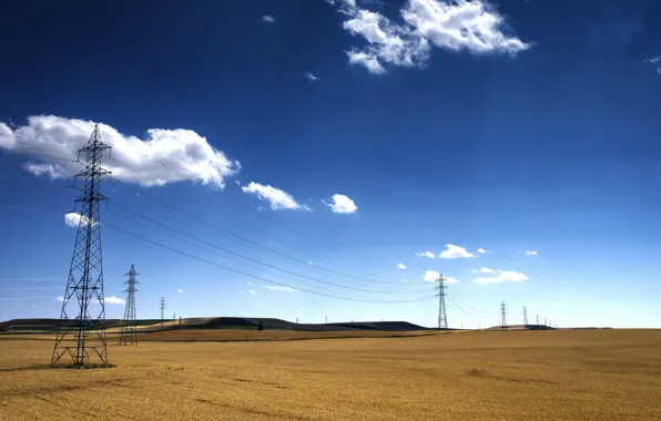 Field, the sky, power lines