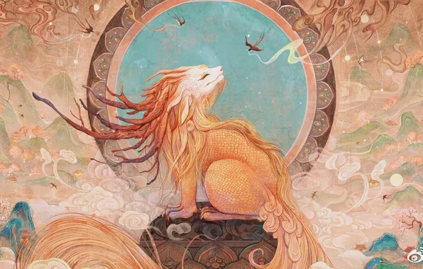 Birds, animal, being, The fabulous beast