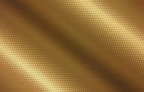 Color, texture, form