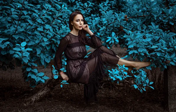 Look, girl, branches, nature, pose, dress, Damian Feather