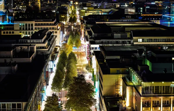 Trees, street, building, home, lighting, panorama, night lights