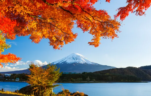 Picture autumn, forest, the sky, leaves, snow, trees, lake, Japan