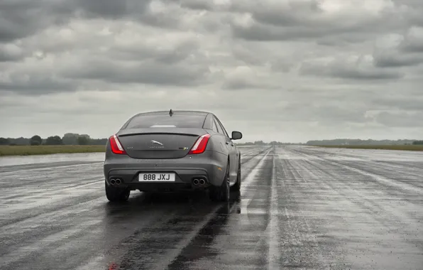 Wet, field, forest, asphalt, drops, rain, overcast, Jaguar
