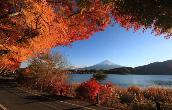 Picture road, autumn, the sky, trees, lake, mountain